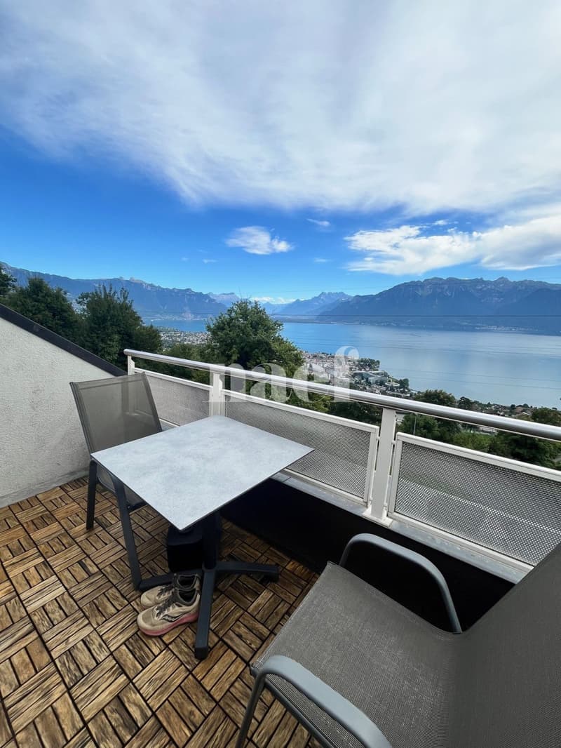 Panoramic view of the lake and mountains (9)