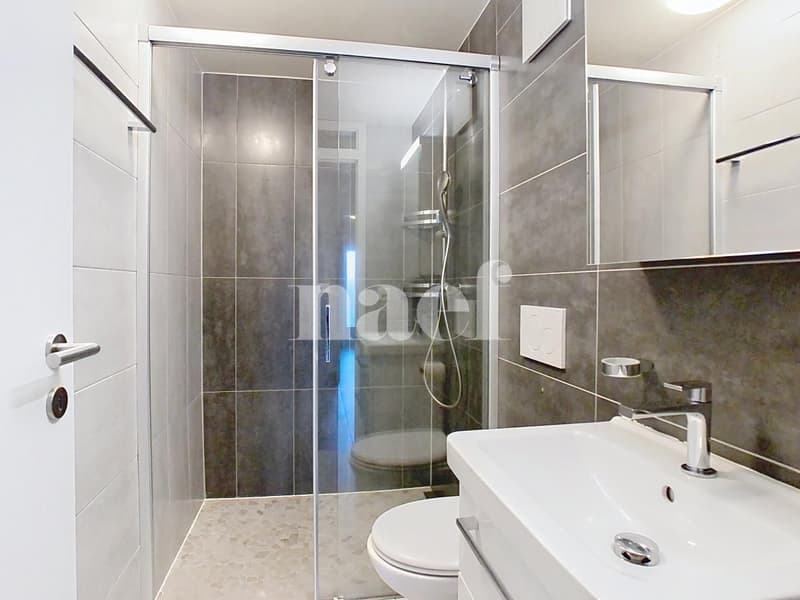 Appartement de 5.5 pièces (9)