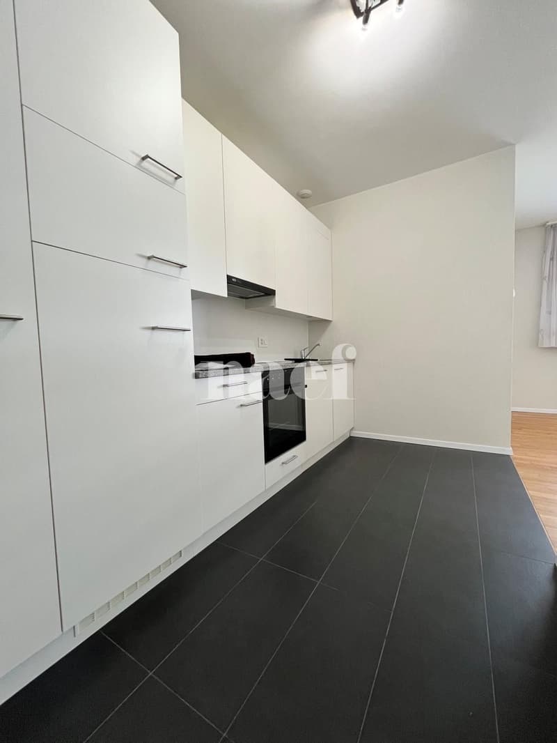 In einer neu gebauten Anlage, im Herzen der Stadt (4)