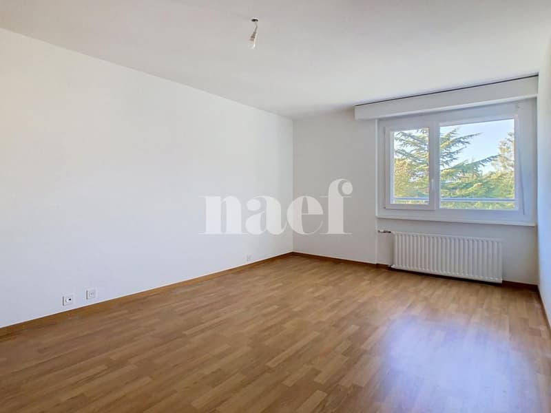 Spacieux appartement de 4.5 pièces au 4ème étage (12)