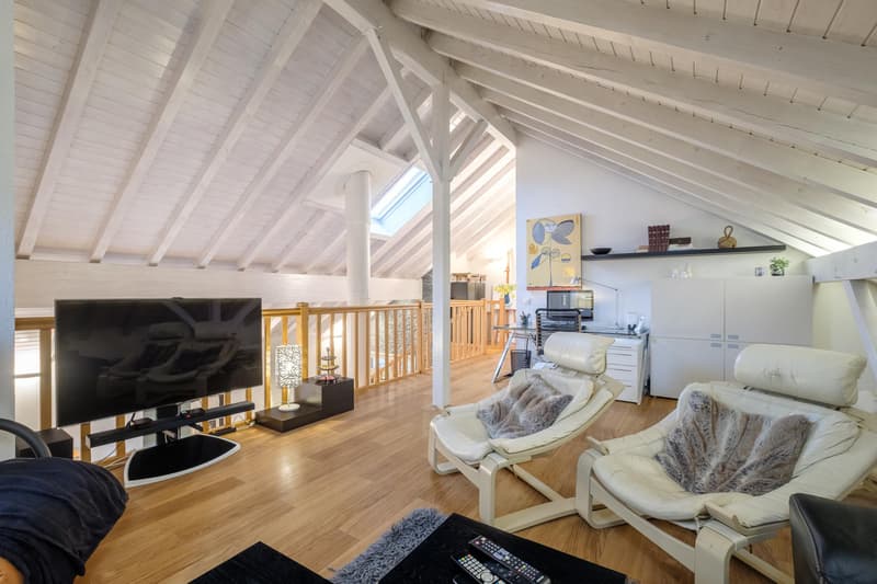 Spacieux duplex en attique de 340 m² entièrement rénové (11)