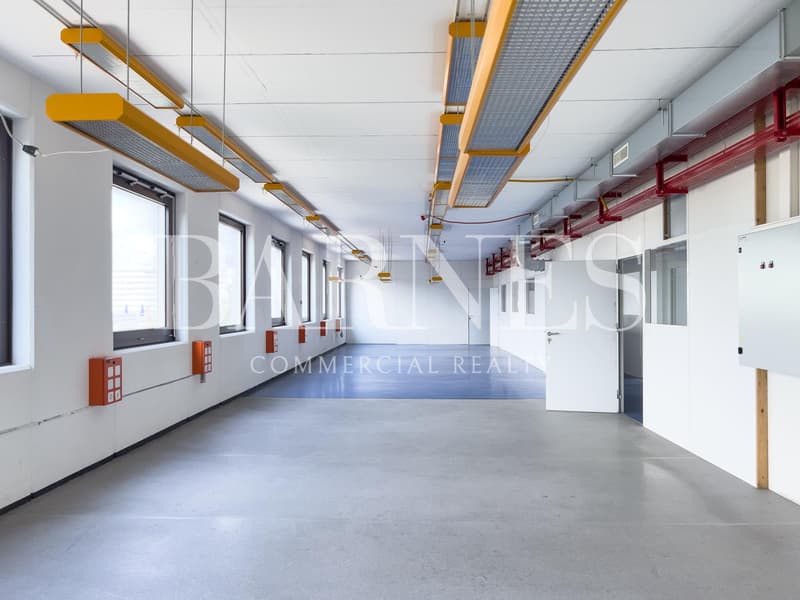 Laboratoire, production, atelier de 620 m2 à louer à Satigny (9)