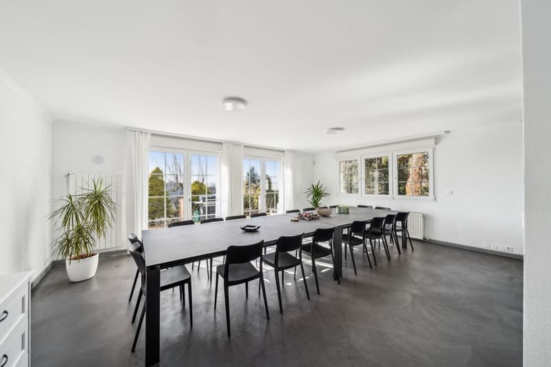Grande propriété familiale dans un quartier résidentiel (4)