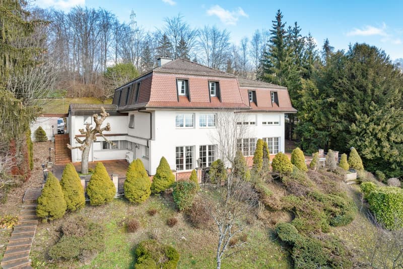 Large family property in a residential area (1)