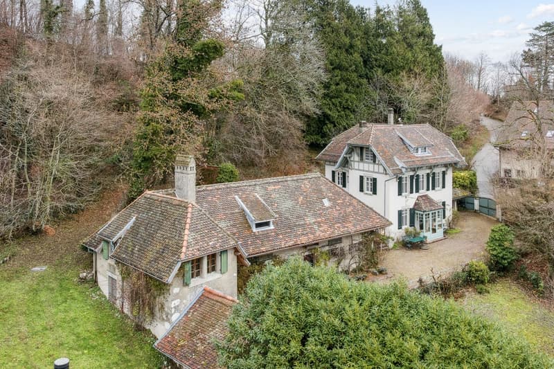 Stunning Master House - Charm and Prestige on the Heights (1)