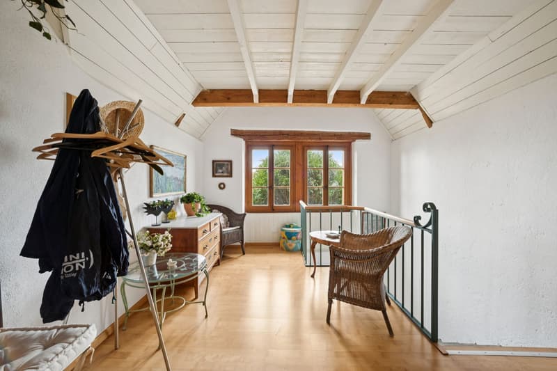 Stunning Master House - Charm and Prestige on the Heights (10)