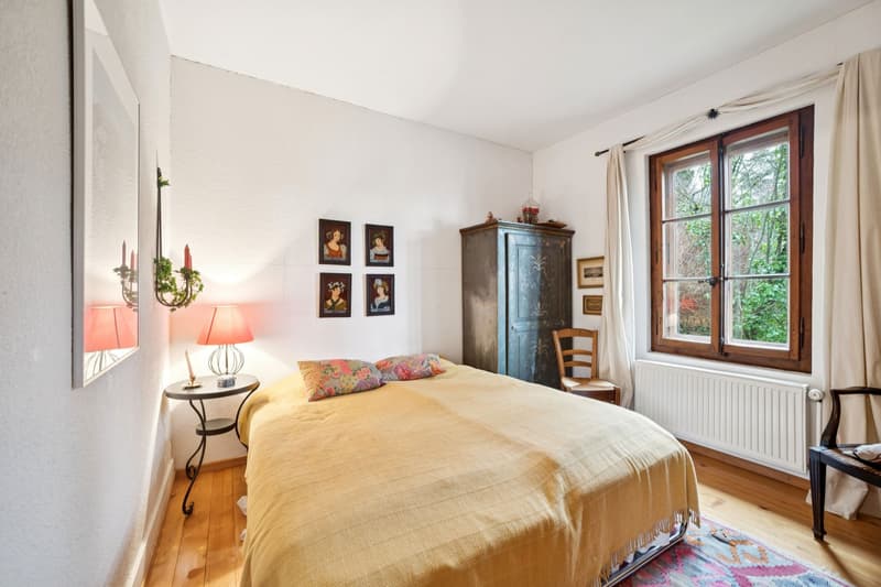 Stunning Master House - Charm and Prestige on the Heights (9)