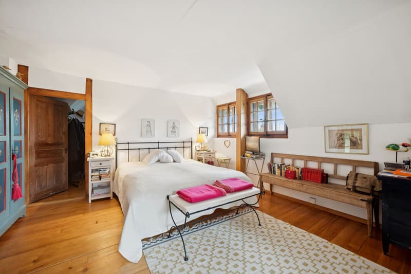 Stunning Master House - Charm and Prestige on the Heights (5)