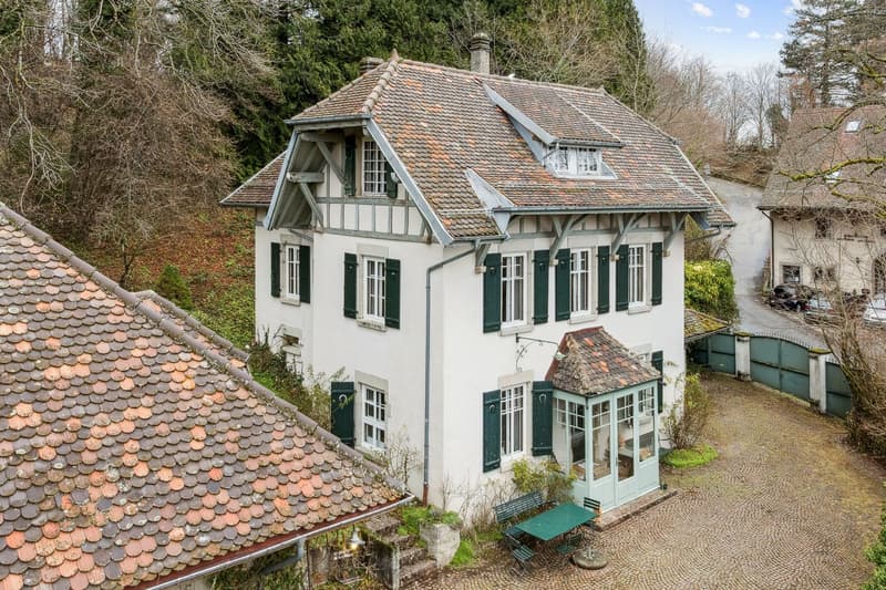 Stunning Master House - Charm and Prestige on the Heights (13)