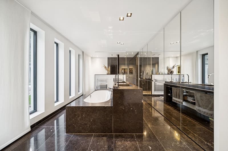 Exceptional property with contemporary architecture (8)