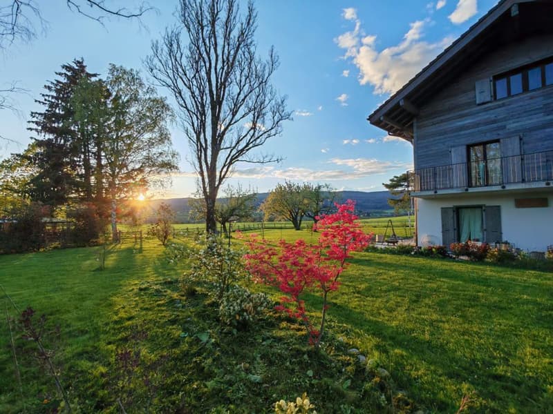 Charmantes Familienhaus in einer friedlichen Oase (1)