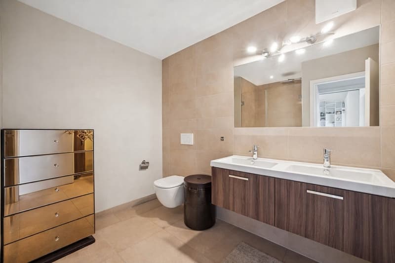 BAISSE DE PRIX Duplex 5 pièces au coeur de la Terre-Sainte (VD) (9)