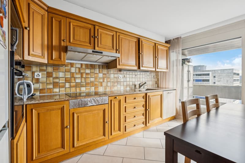 Spacious 5.5-room apartment with a magnificent view of the city and (5)