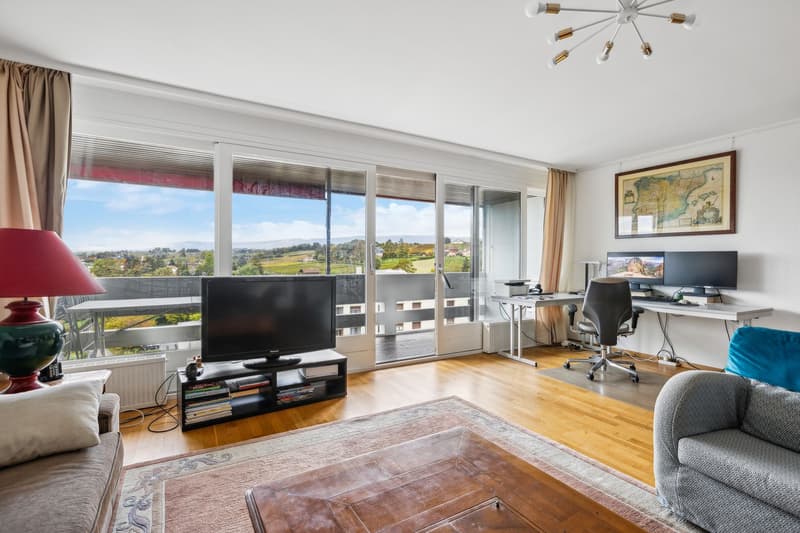 Spacious 5.5-room apartment with a magnificent view of the city and (3)