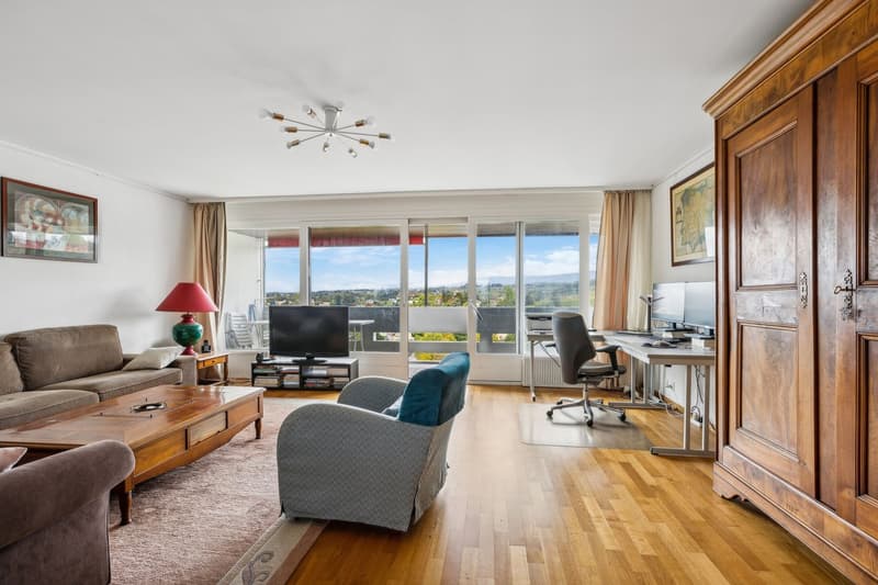 Spacious 5.5-room apartment with a magnificent view of the city and (4)