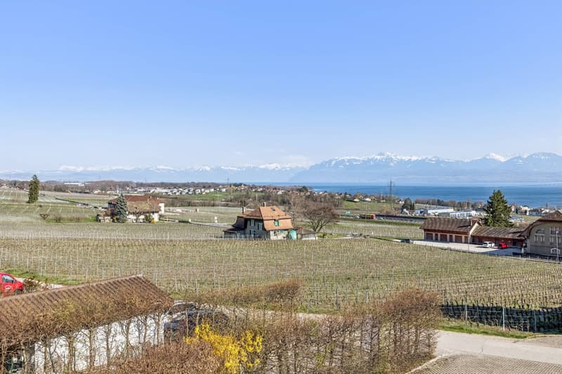 EXCLUSIVITY - 4.5 room family apartment with panoramic view (12)