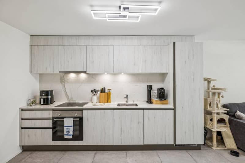 Rental Apartment (4)