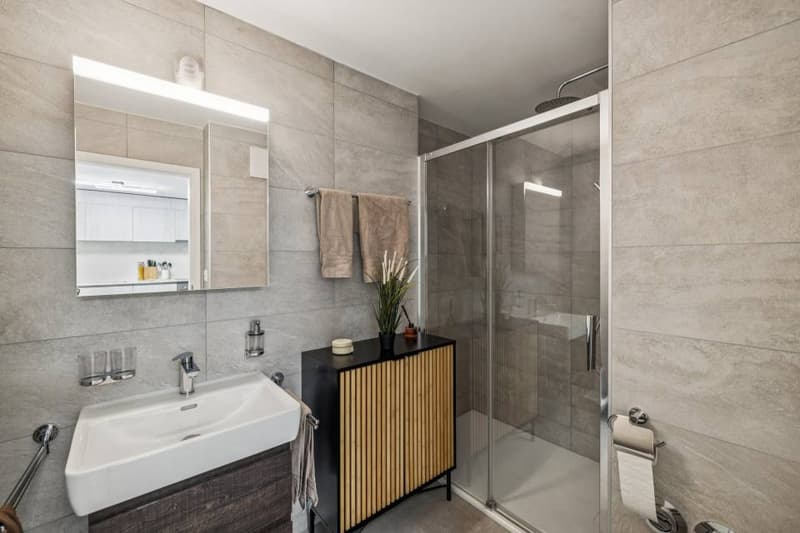 Rental Apartment (5)