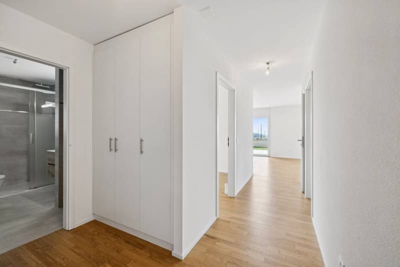 4.5 rooms contemporary and bright with garden and very beautiful view on (6)