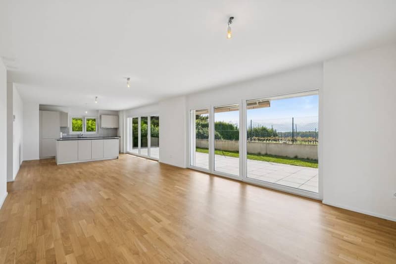 4.5 rooms contemporary and bright with garden and very beautiful view on (3)
