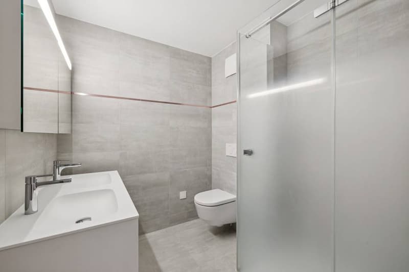 4.5 rooms contemporary and bright with garden and very beautiful view on (10)