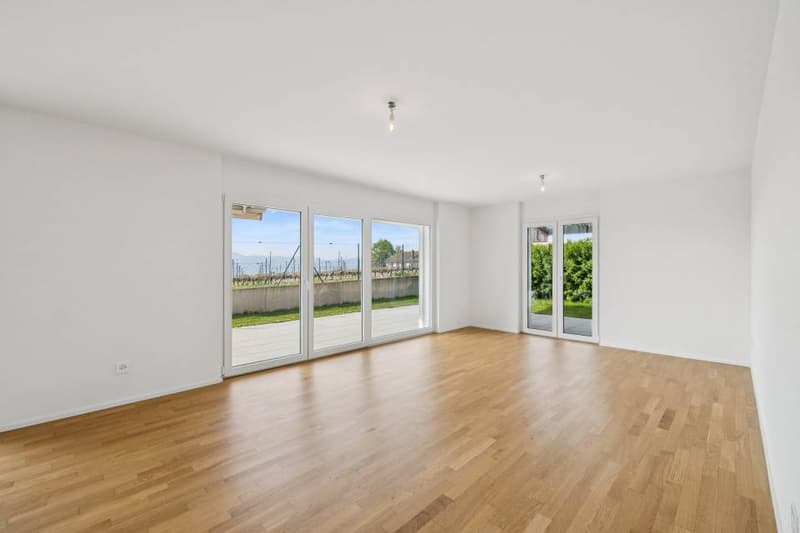 4.5 rooms contemporary and bright with garden and very beautiful view on (4)