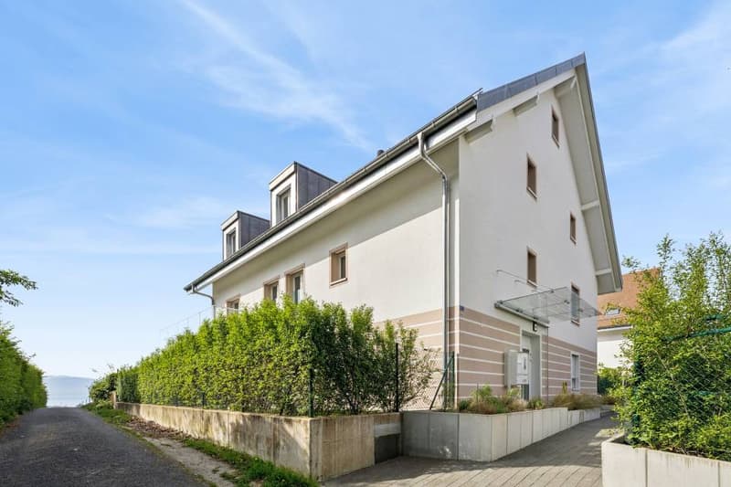 4.5 rooms contemporary and bright with garden and very beautiful view on (13)