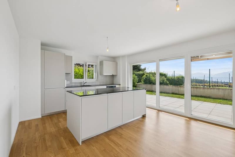 4.5 rooms contemporary and bright with garden and very beautiful view on (5)