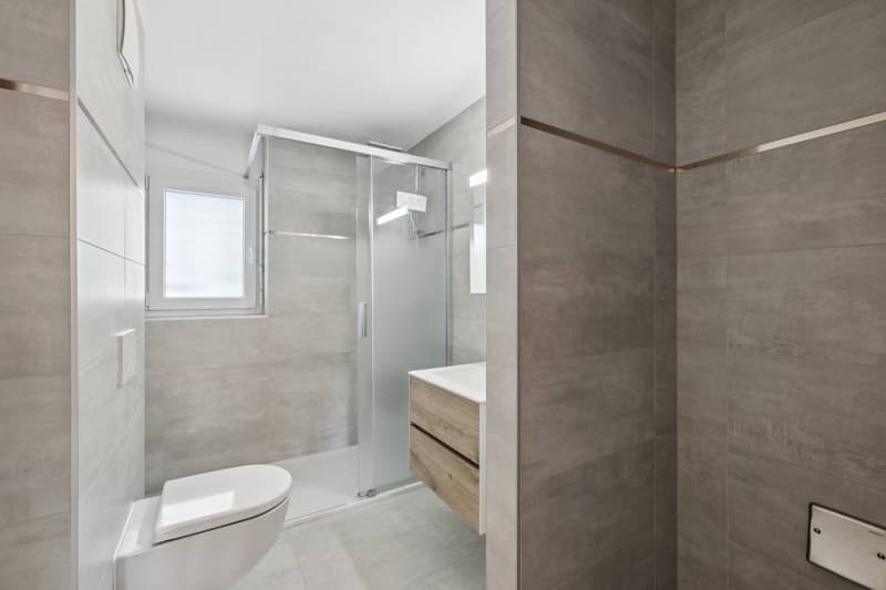 4.5 rooms contemporary and bright with garden and very beautiful view on (8)