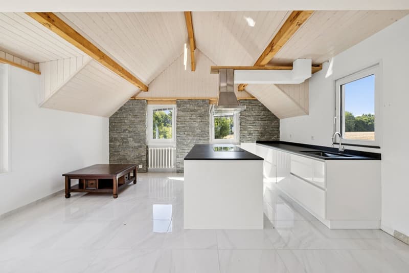 At the gates of Morges, beautiful property in the heart of a large park (12)