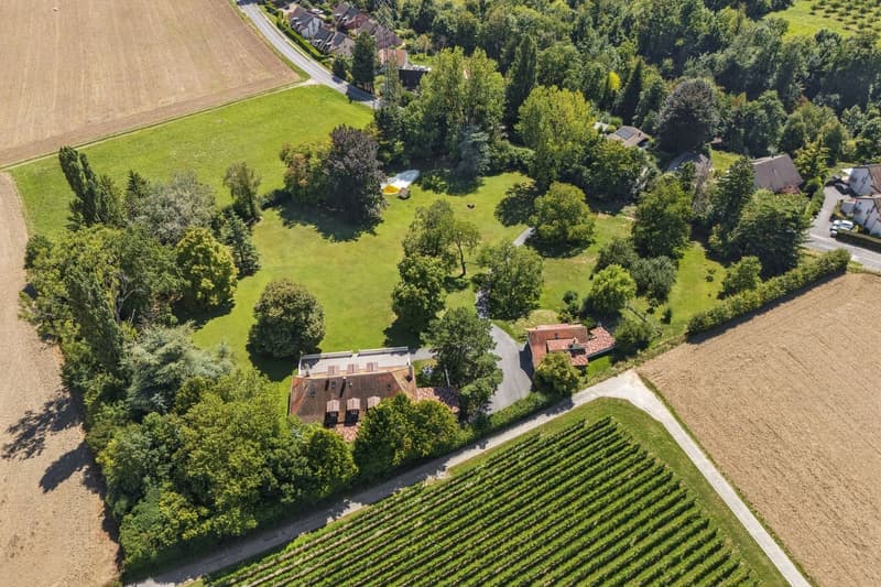 At the gates of Morges, beautiful property in the heart of a large park (2)
