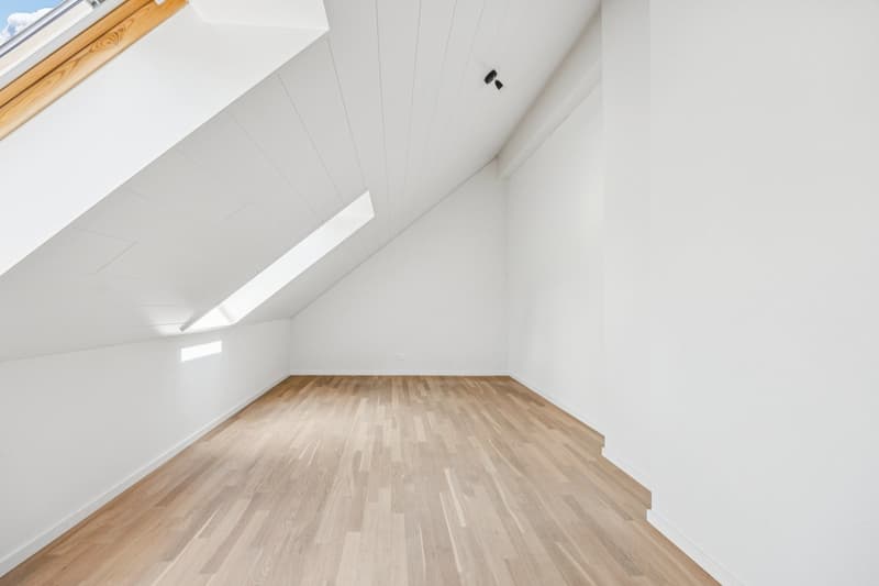 Duplex apartment with 4.5 rooms (8)