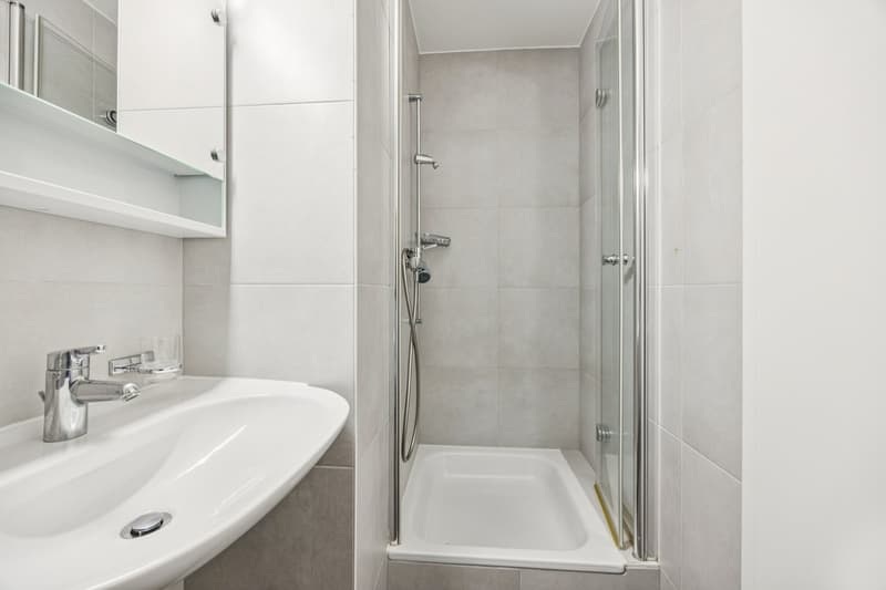 Duplex apartment with 4.5 rooms (9)
