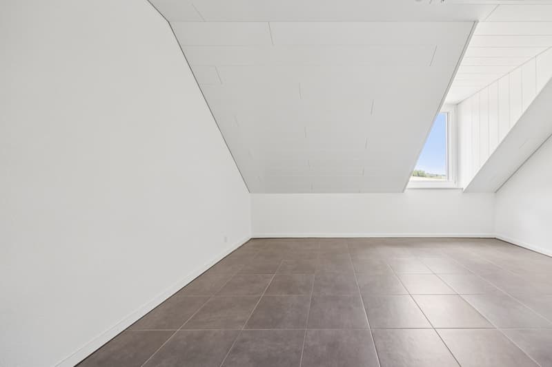 Duplex apartment with 4.5 rooms (6)
