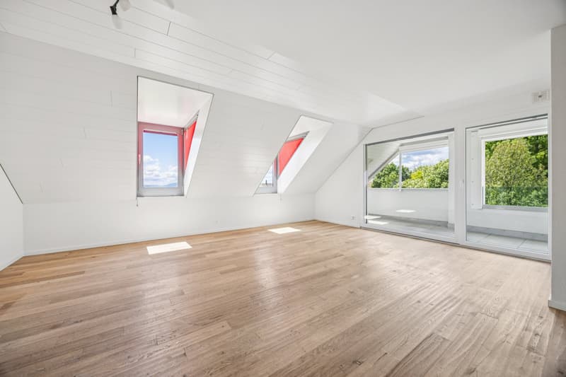 Duplex apartment with 4.5 rooms (3)