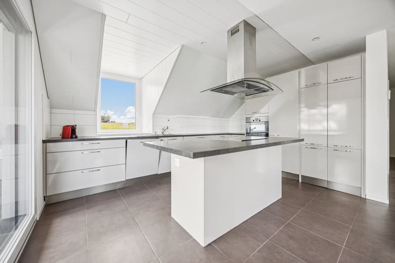 Duplex apartment with 4.5 rooms (2)