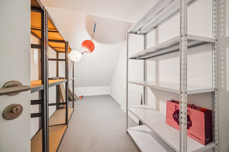 Duplex apartment with 4.5 rooms (13)