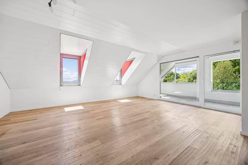 Duplex apartment with 4.5 rooms (3)
