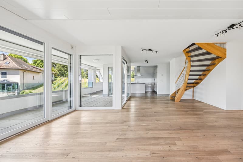 Duplex apartment with 4.5 rooms (4)