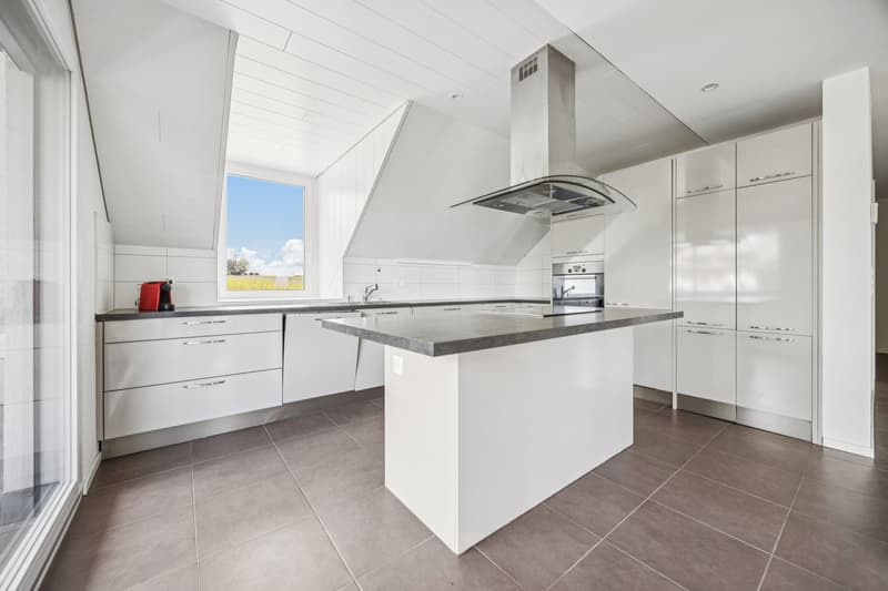 Duplex apartment with 4.5 rooms (2)