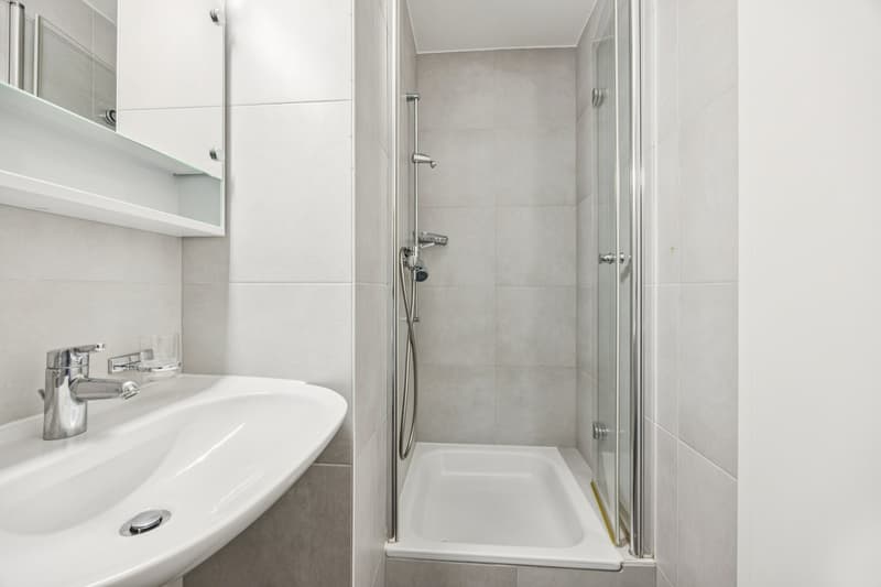 Duplex apartment with 4.5 rooms (9)
