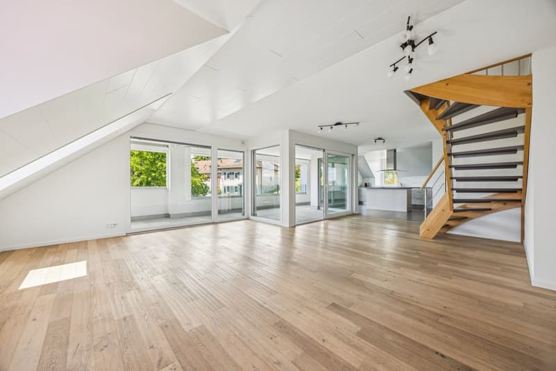 Duplex apartment with 4.5 rooms (5)