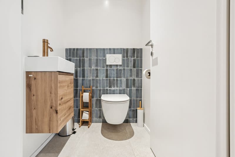 Magnificent 4.5-room apartment with terrace and garden (12)