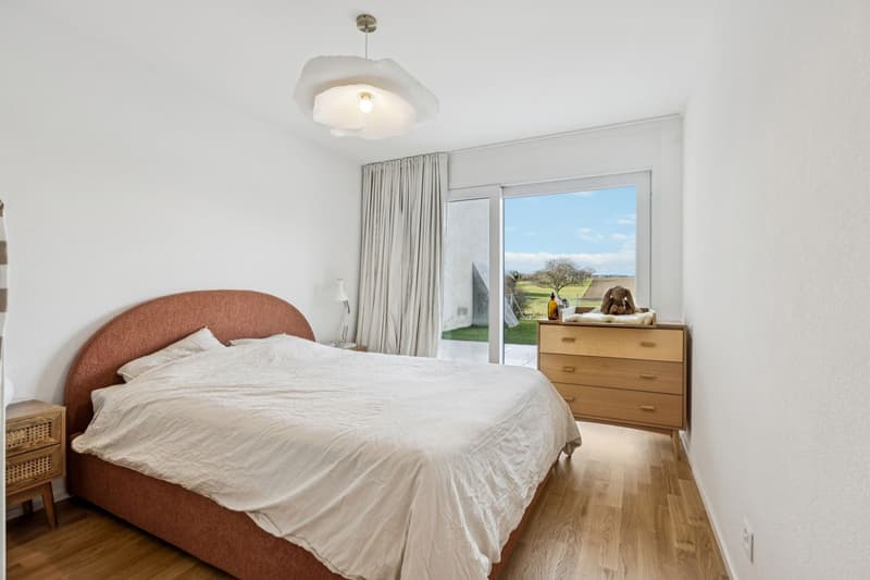 Magnificent 4.5-room apartment with terrace and garden (6)