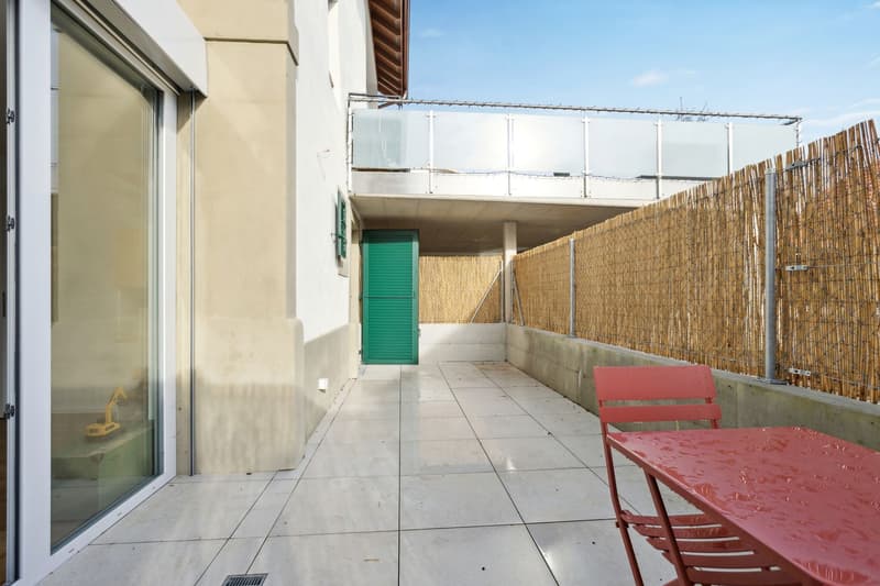 Magnificent 4.5-room apartment with terrace and garden (13)