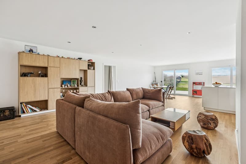 Magnificent 4.5-room apartment with terrace and garden (2)