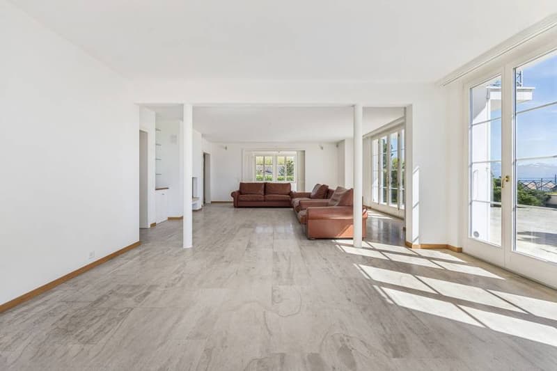 Exclusive villa with spa and independent apartment (3)
