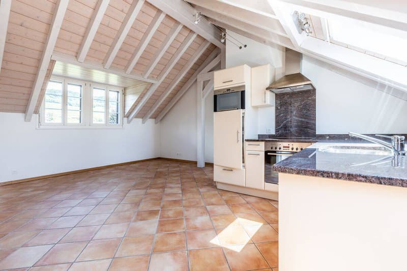 Exclusive villa with spa and independent apartment (8)