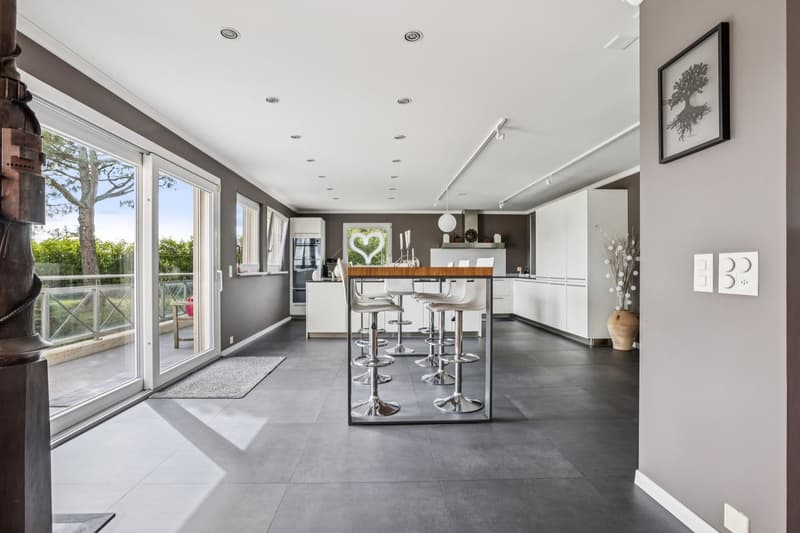 Modern exceptional property on the first line of the lake (5)