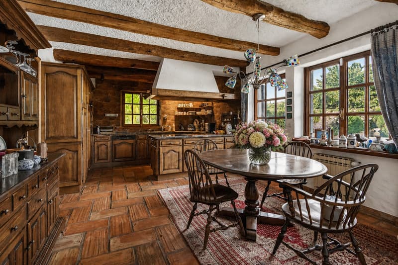 Village house with lake and Mont Blanc view (12)